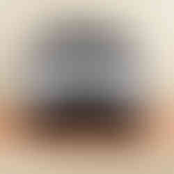 Toyota Urban Cruiser com “ordem” para eletrificar