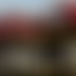 ACAP insiste no incentivo ao abate