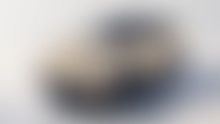 MGS6 EV desde 42.640 €