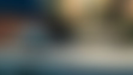 Scout: 160.000 encomendas!