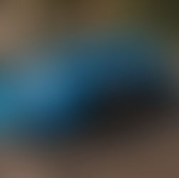 Honda Civic Type R: sobram só cinco!