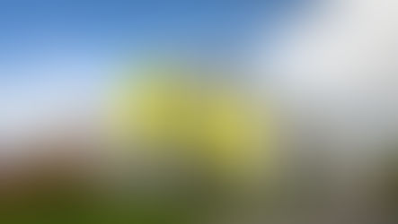 Opel “perde” 40% dos engenheiros