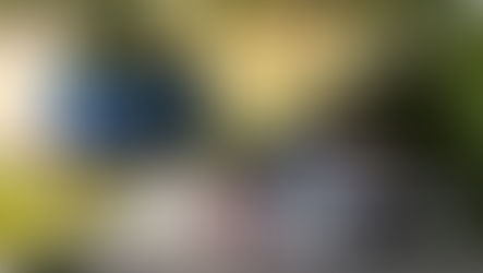 Alpine e Lancia regressam aos ralis