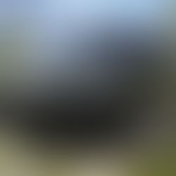 Suzuki Vitara elétrico: os preços