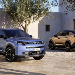 FIAT: "ursos-pardos" acima do Panda