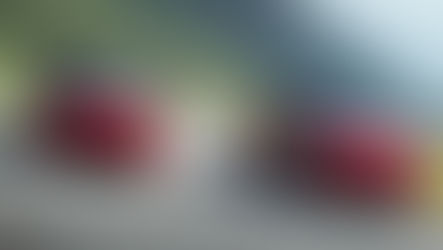 Tesla: baterias LG dececionam