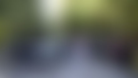 Ferrari apresenta Luce ao Papa Leão XIV