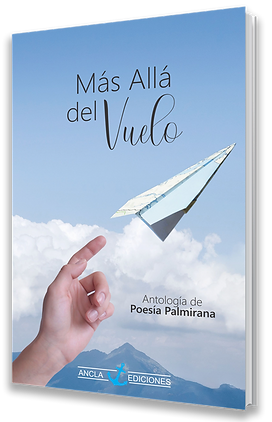 más allá del vuelo