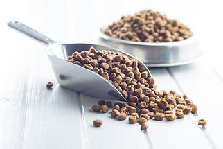 Pet Food