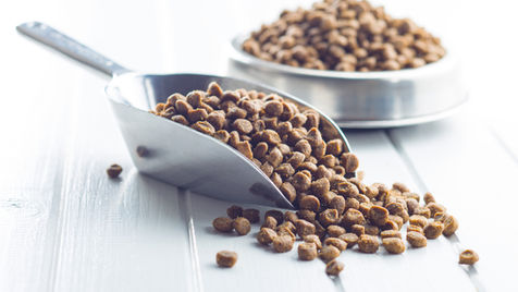 Therapeutic Food Straight to Your Home 