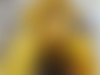 7/7/2024 Opening Reception & Artist Talk Features Michael Litewski at Evanston, IL Art Center