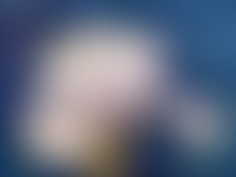 8/4/24 "Sounds of Summer" Artist Reception for Bunny Holmes at 11:30 AM in Wheaton, IL Details here...