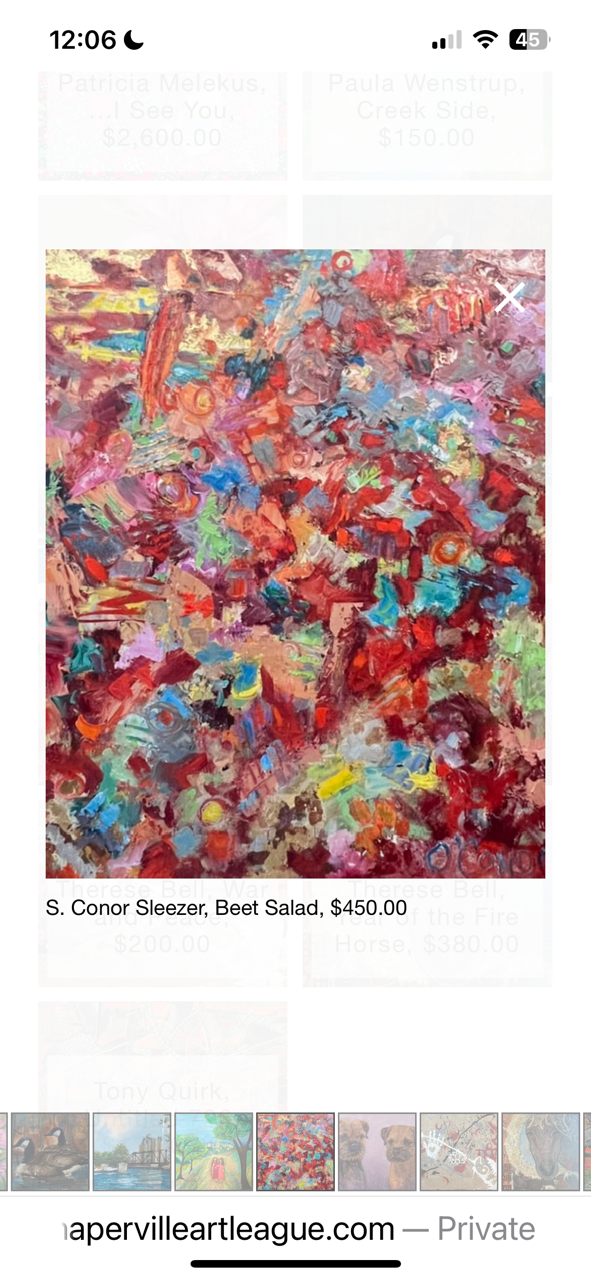 PICTURES OF THE WEEK: Take a Peek at Five Outstanding Pieces in Naperville Art League's Recent Membership Show, "Tapestry" Until August 14, 2026