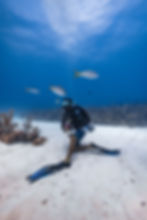 Ocean Tide Scuba Diving