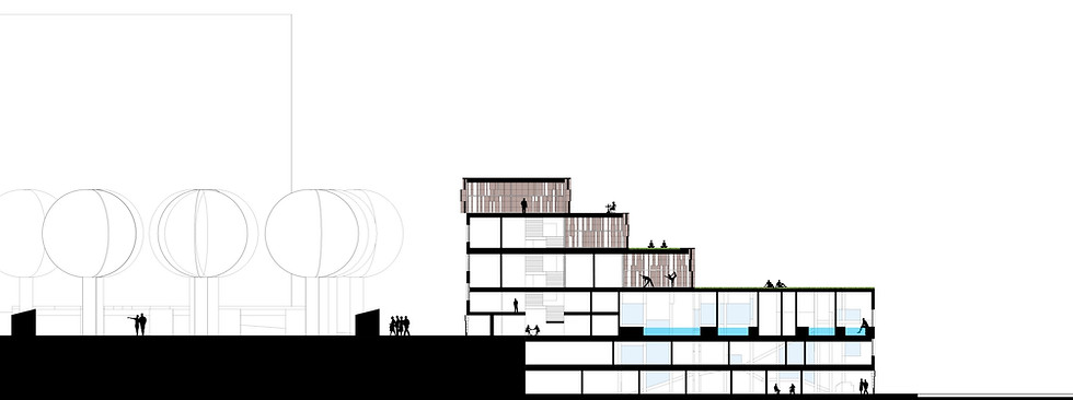 LONGITUDINAL SECTION FINAL cropped.jpg