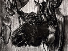 What are your lessons from nature? 