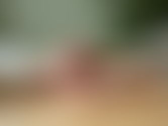 Top Companionship and Support Services for Seniors in Ohio