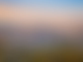 Case Study: Delivering a Full Structured Cabling System for a Next-Generation Office in Salt Lake City