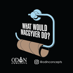 foto_diaria_odin_2