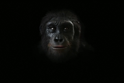 evolucion.gif