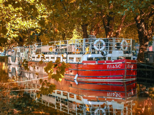 Christmas Is coming!