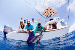 Galapagos Marlin Fishing