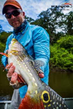 Tucunare Lodge Colombia