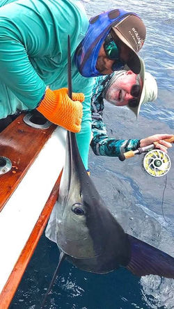Galapagos Marlin Fishing