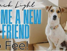 Adoption Special Still Going On For a Few More Days!