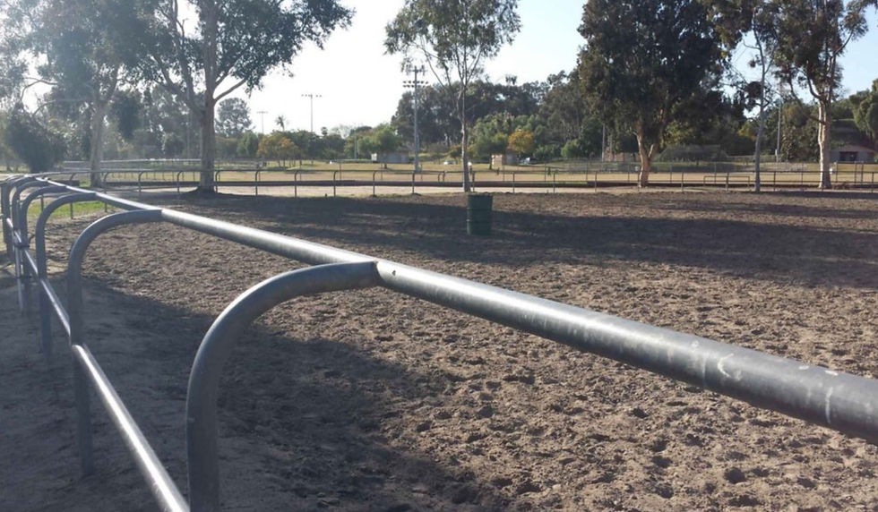 The Horse Arena at Rohr Park Must be Preserved