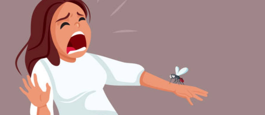 County to Start Aerial Larvicide Drop Today