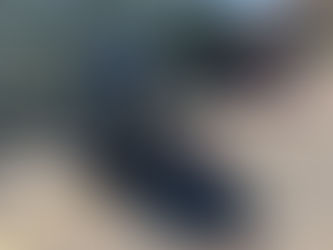 Vehicle Rollover on San Miguel Road Yesterday