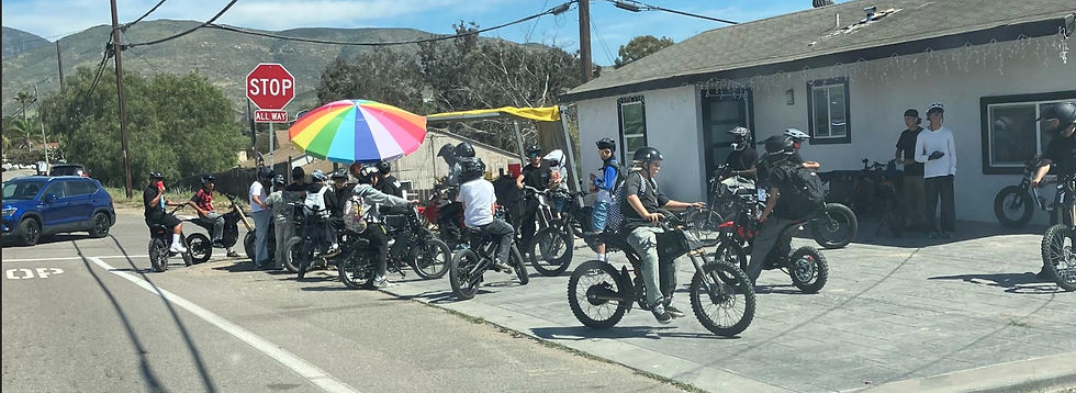 The gangs all here! Click on image to enlarge