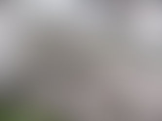 Breathe Deeply and Smell That Fresh Air . . . Not!