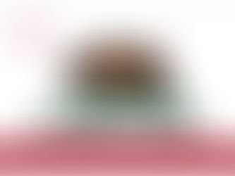 Meet the Candidates Who Are Running for California Governor