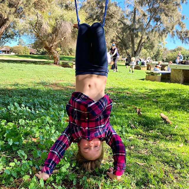 Hanging upside down, balancing on a log,