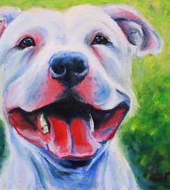 jenny mann fine artist pet portrait dog staffy.jpg