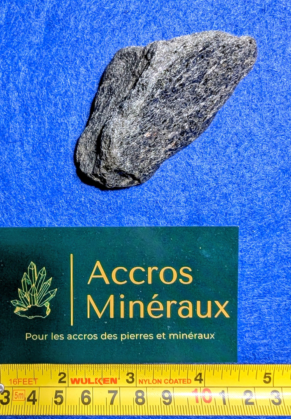 Biotite