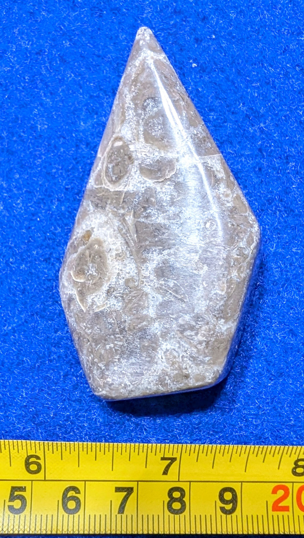Flèche en fossiles de la Grotte du Diable