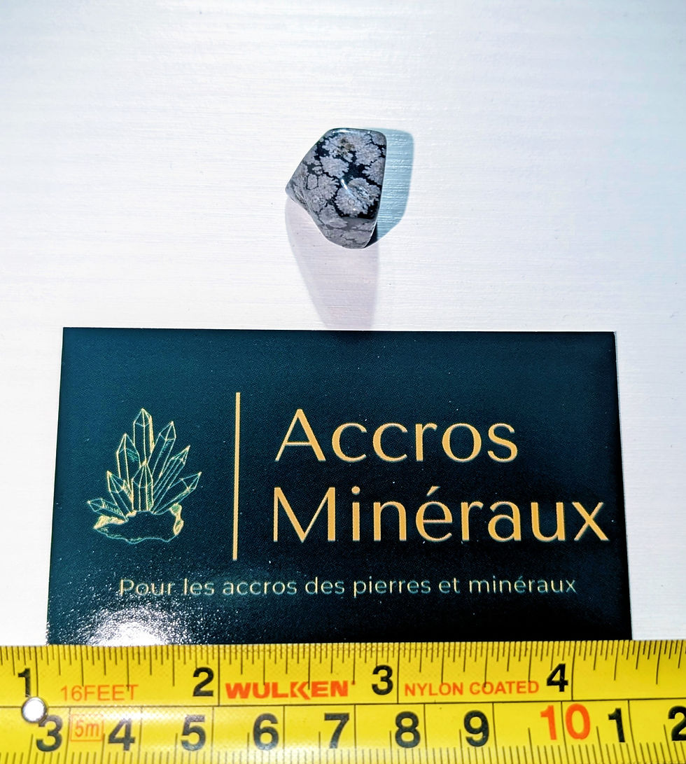 Obsidienne flocon de neige