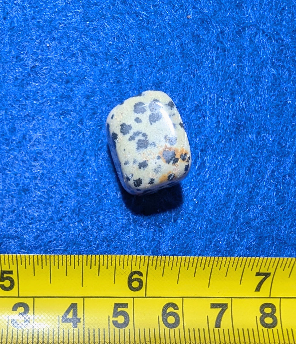 Jaspe dalmatien