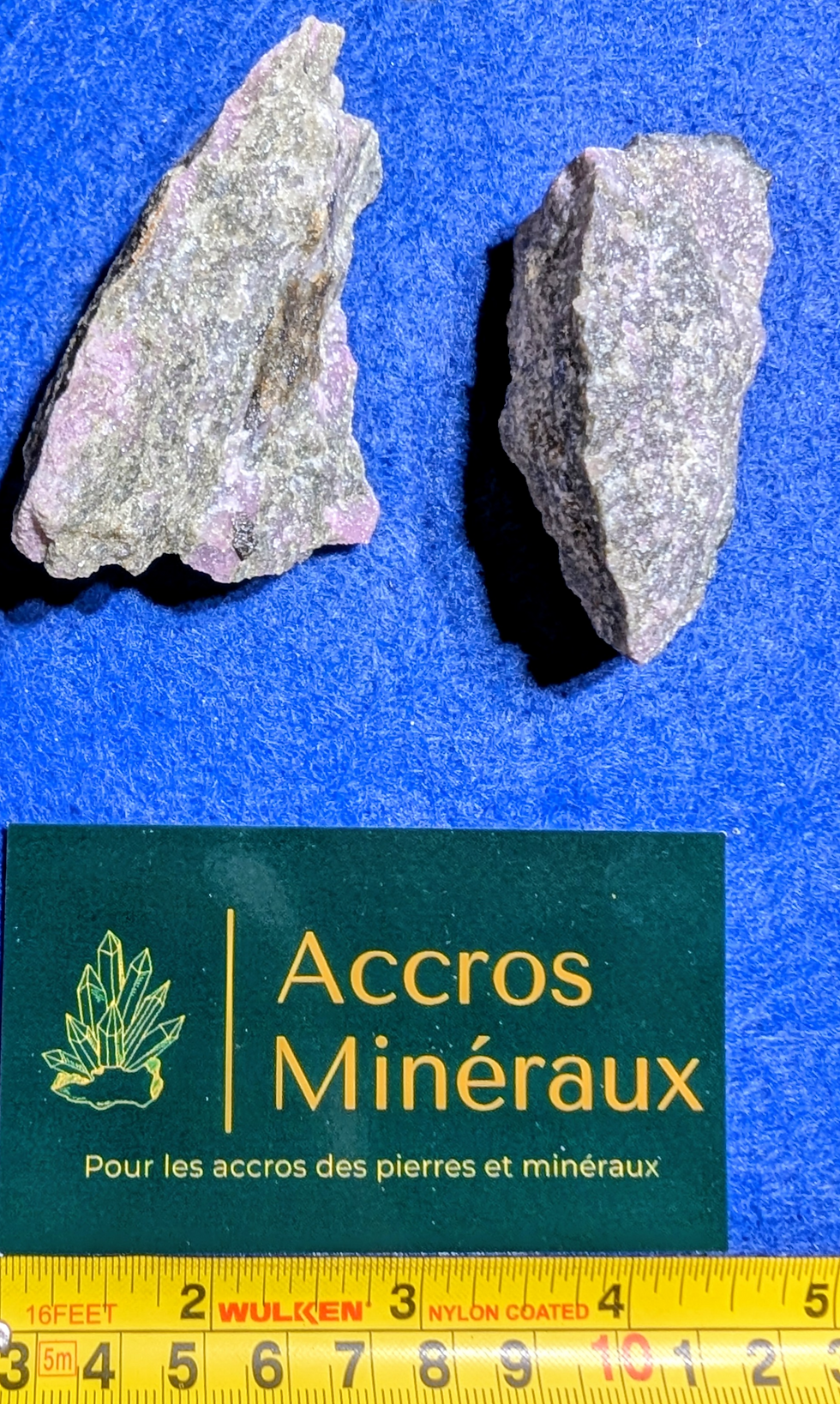 Wilsonite