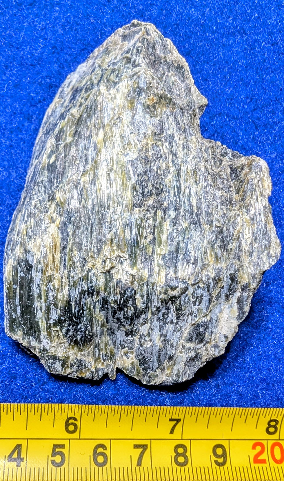 Serpentine