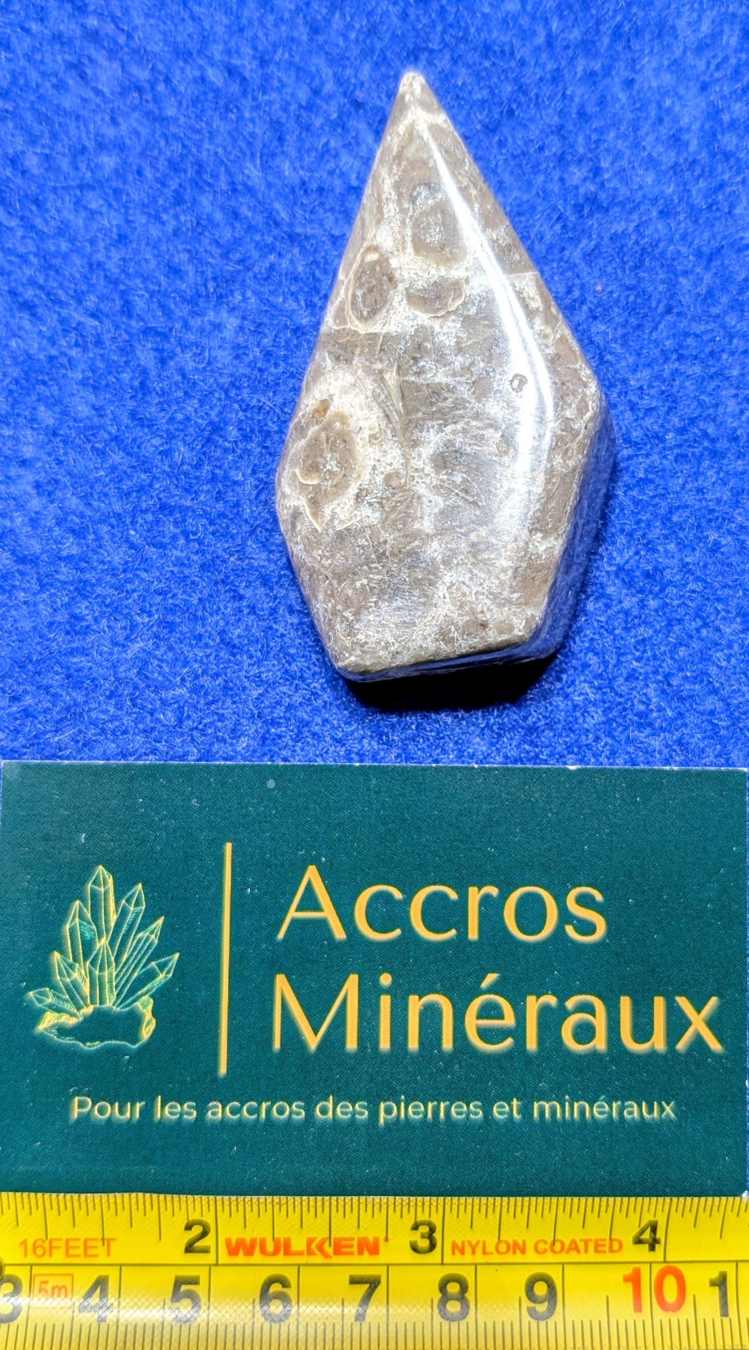 Flèche en fossiles de la Grotte du Diable