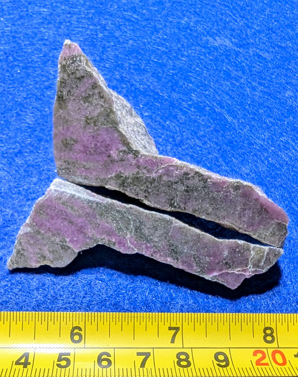 Wilsonite 10$