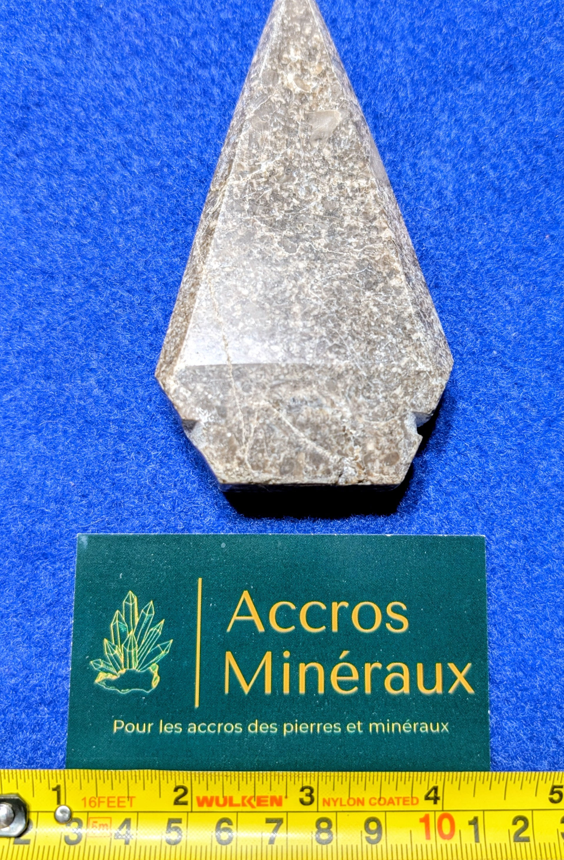 Flèche de fossiles de la Grotte du Diable