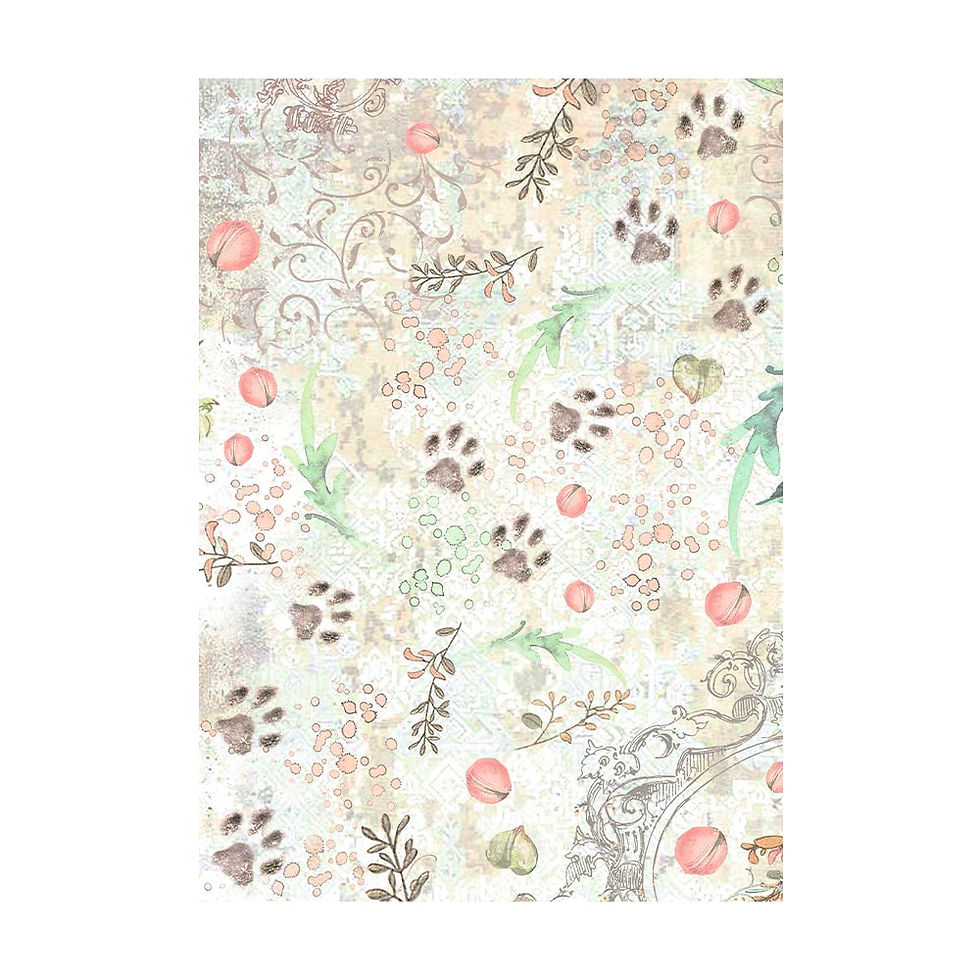 Miniatura: Selection 8 Rice paper A6 backgrounds - Orchids and Cats