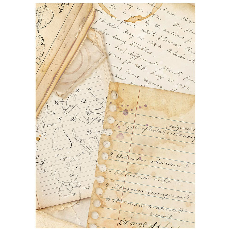 Miniatura: Printed 8 Rice paper A6 backgrounds selection for Art and Craft - All Around