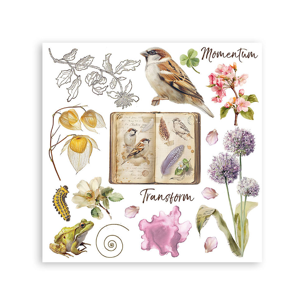 Thumbnail: Printed Decorative Rub on kit for Art and Craft cm 15,5x15,5 - All Around