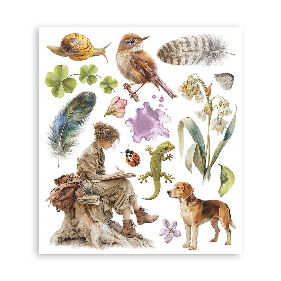 Thumbnail: Printed Decorative Rub on selection for Art and Craft cm 20,5x23 - All Around